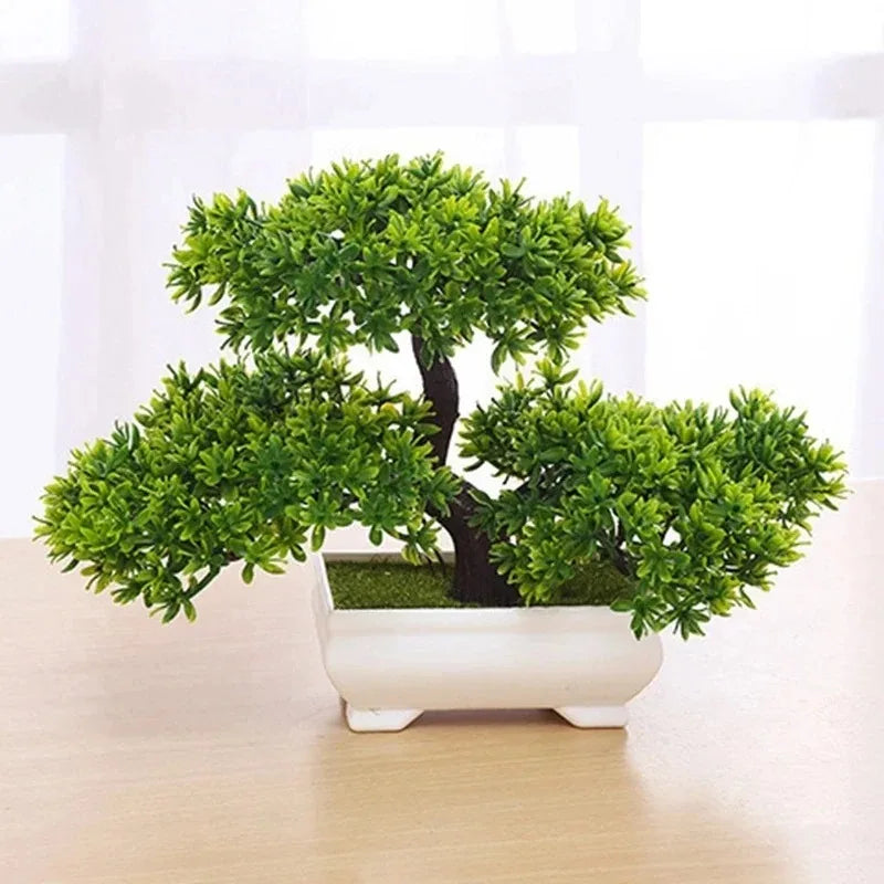 Mini Pine Bonsai