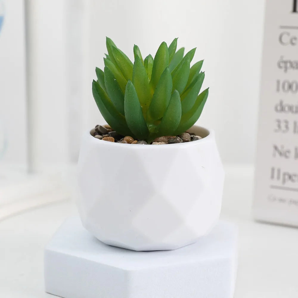 Faux Succulent in White Pot