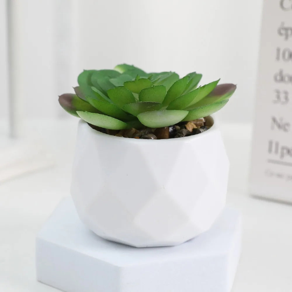 Faux Succulent in White Pot