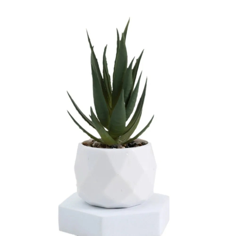 Faux Succulent in White Pot