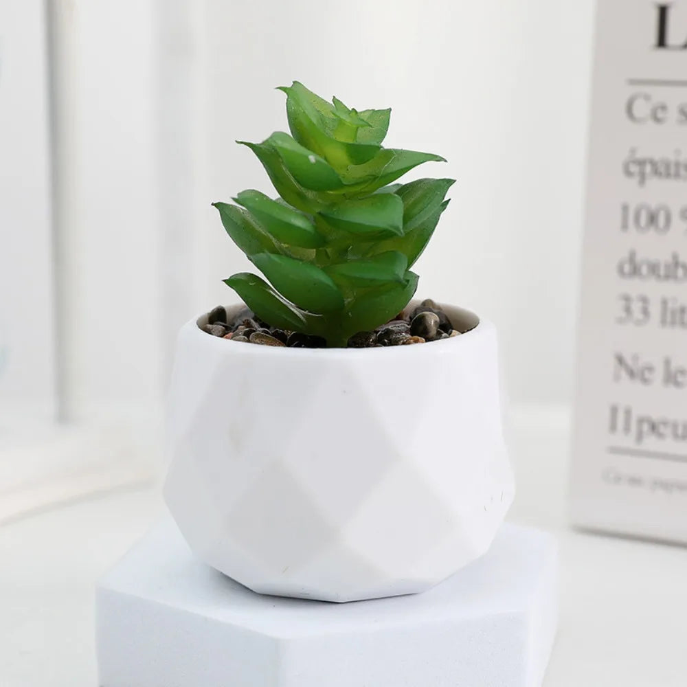 Faux Succulent in White Pot