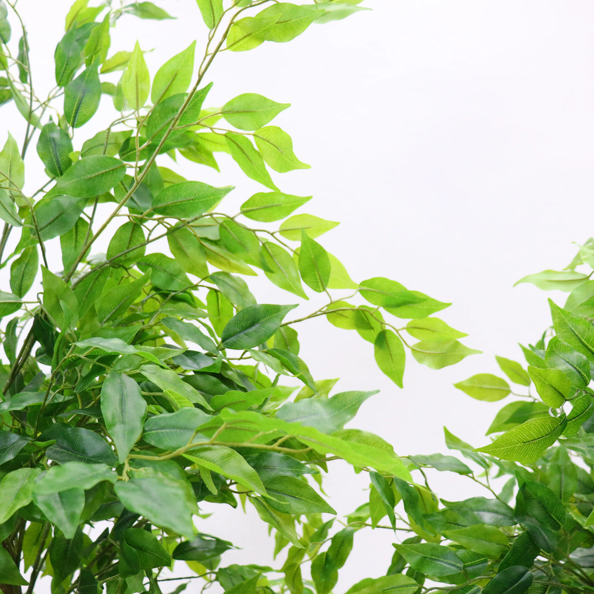 Ficus artificial Santuario, detalle de las hojas