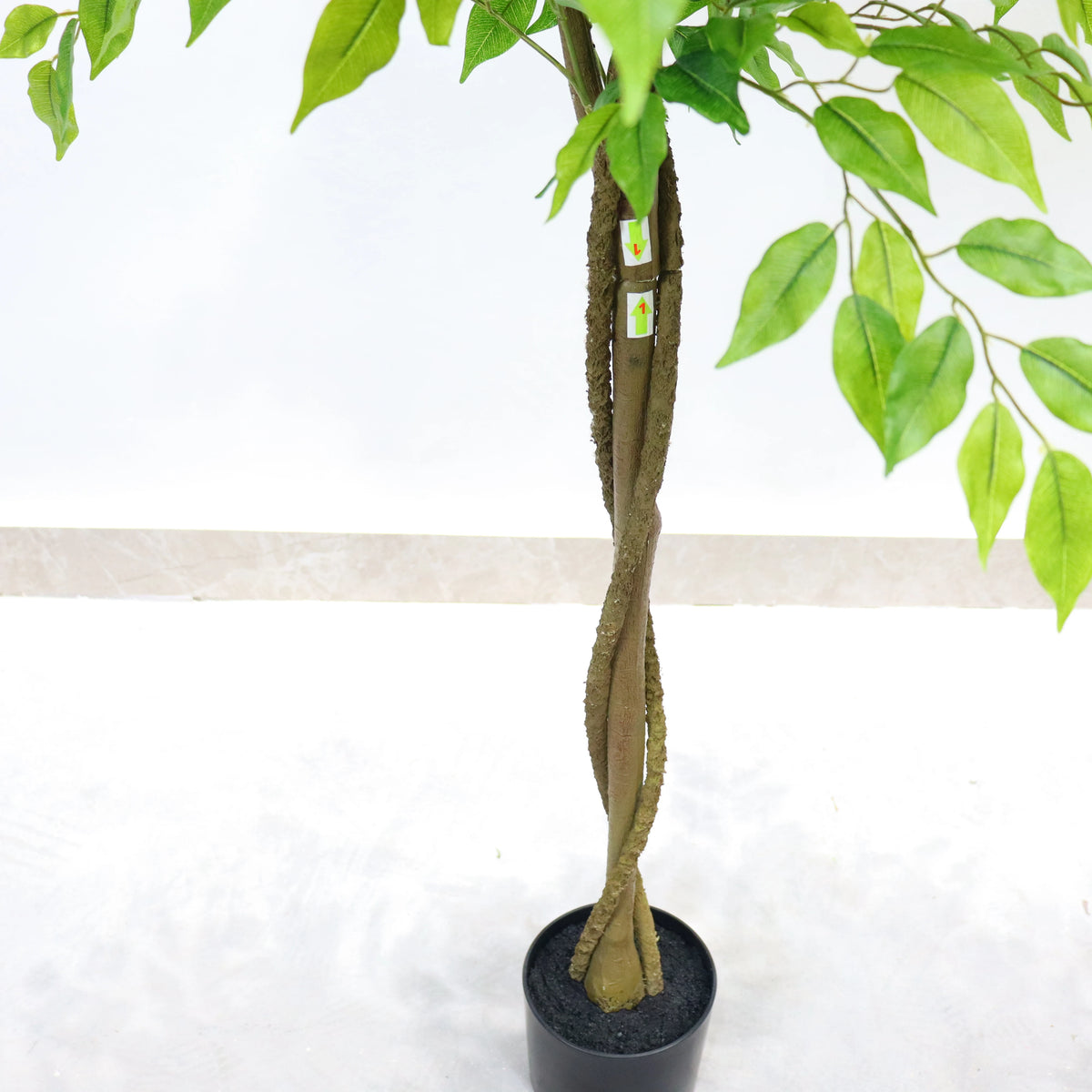 Ficus artificial Santuario en un recibidor