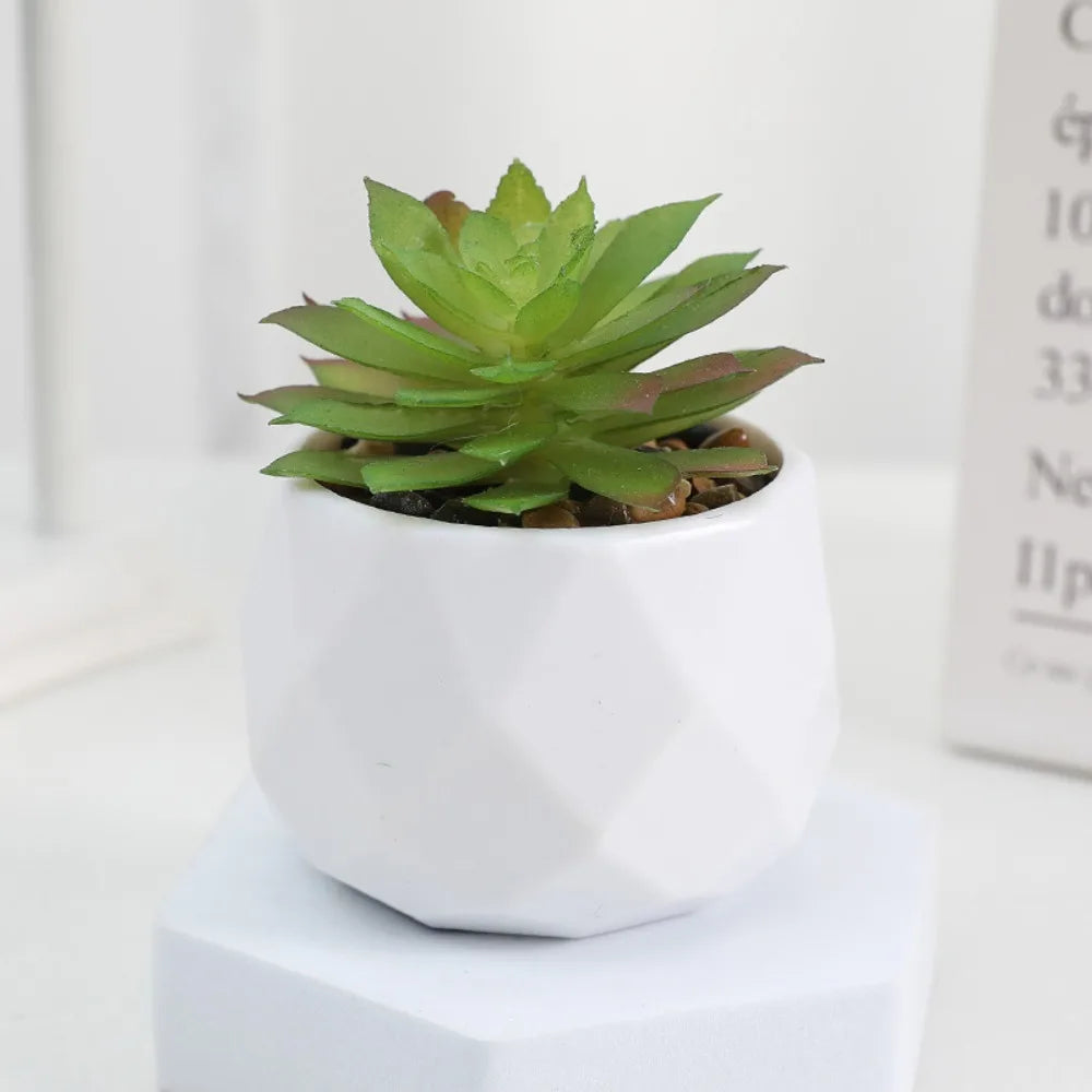 Faux Succulent in White Pot