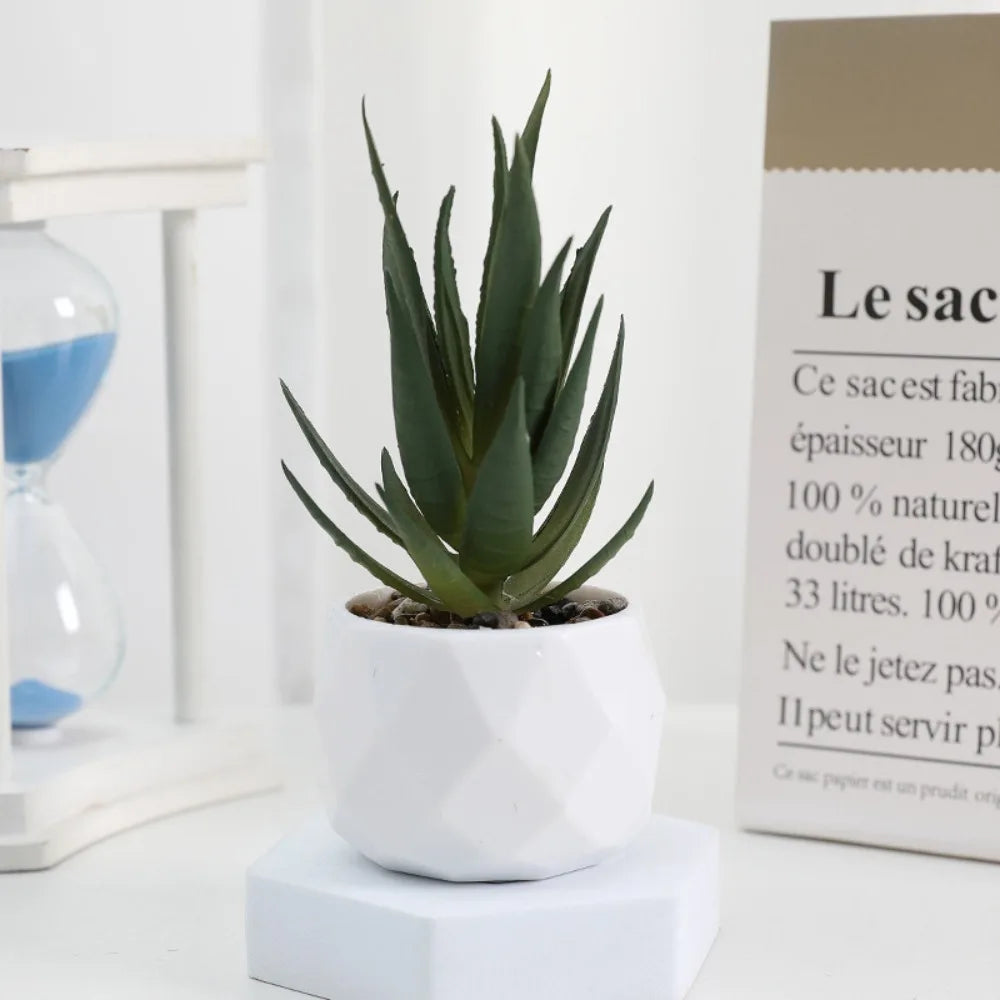 Faux Succulent in White Pot