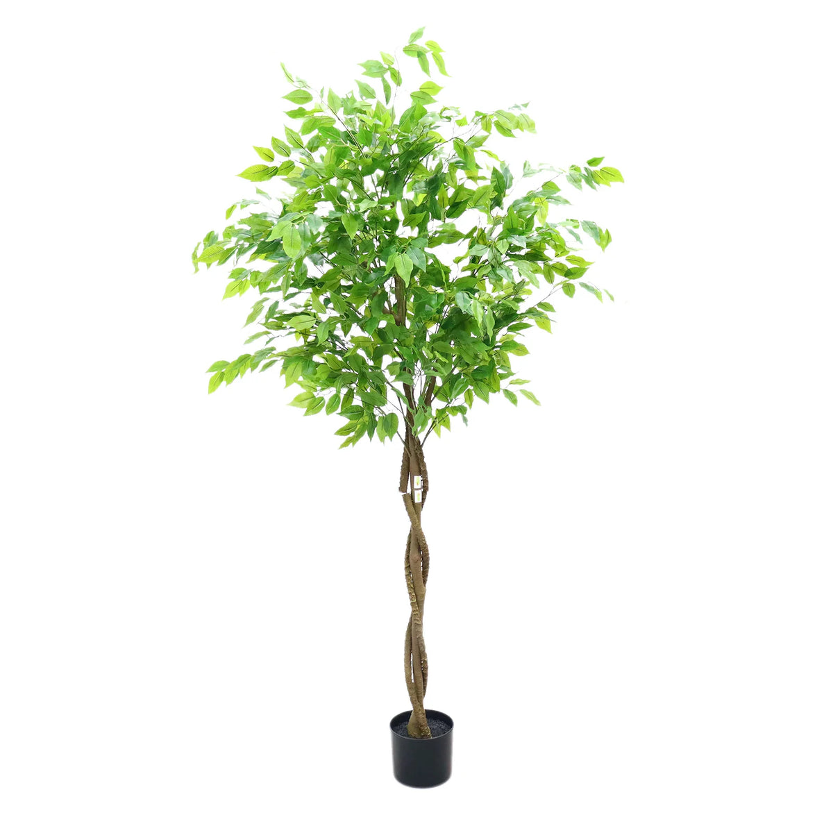 Ficus Artificial Santuario