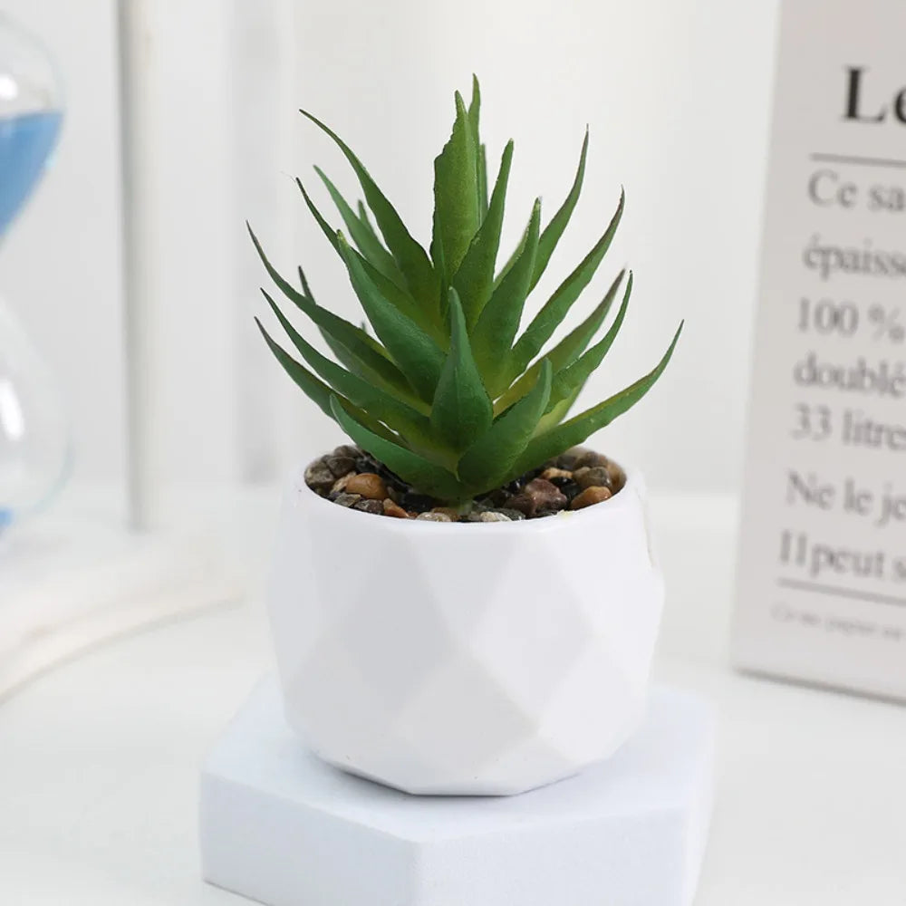 Faux Succulent in White Pot