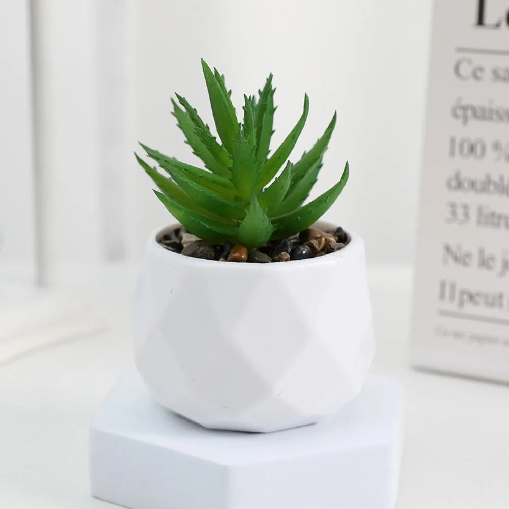 Faux Succulent in White Pot