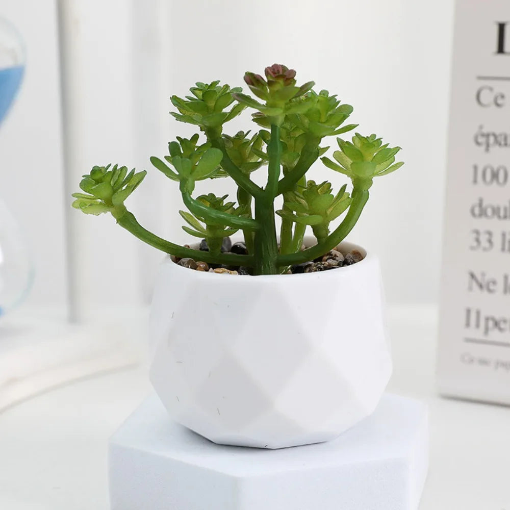 Faux Succulent in White Pot