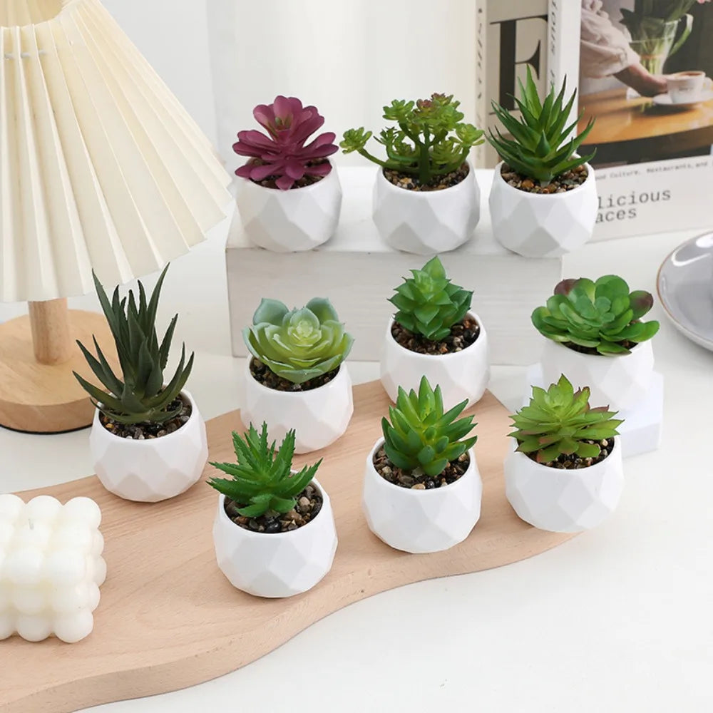 Faux Succulent in White Pot