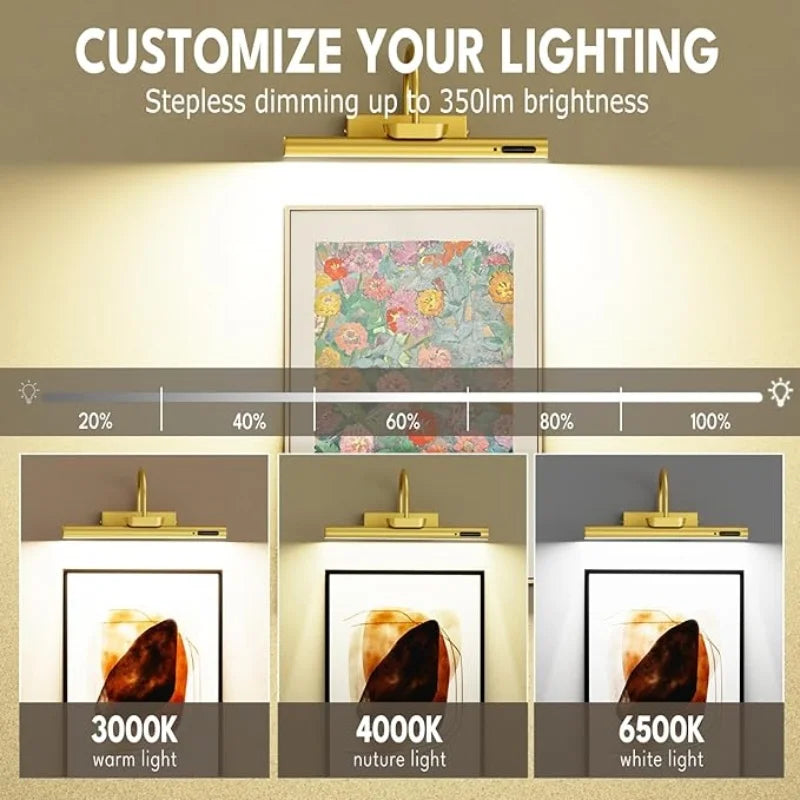 Rechargeable Picture Light
