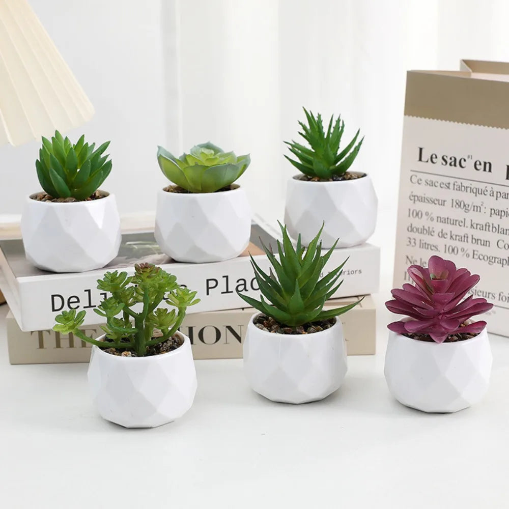 Faux Succulent in White Pot