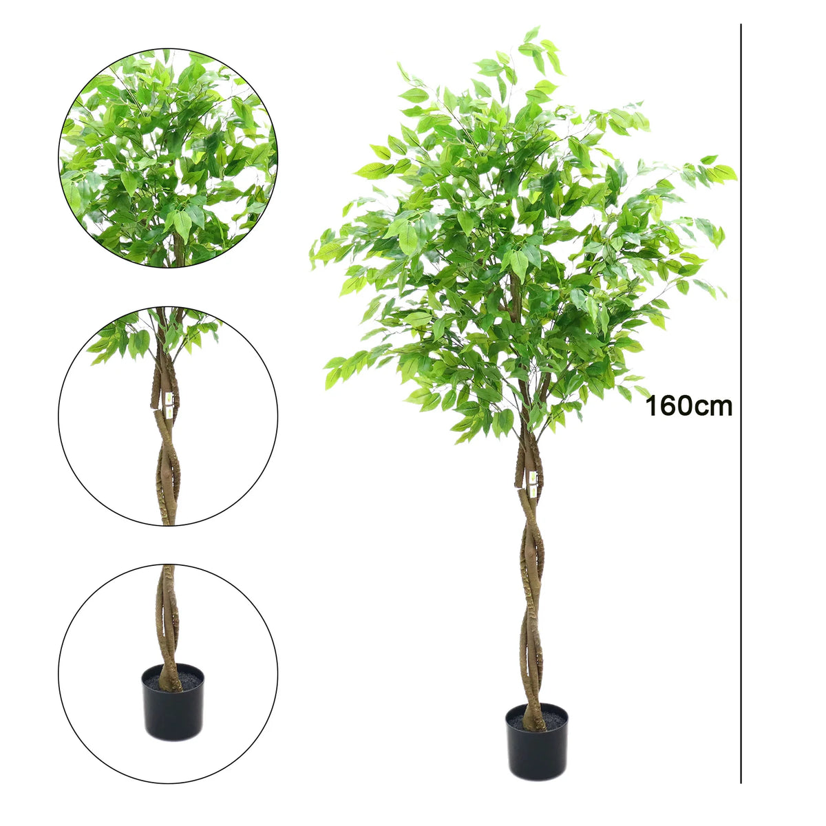 Ficus Artificial Santuario