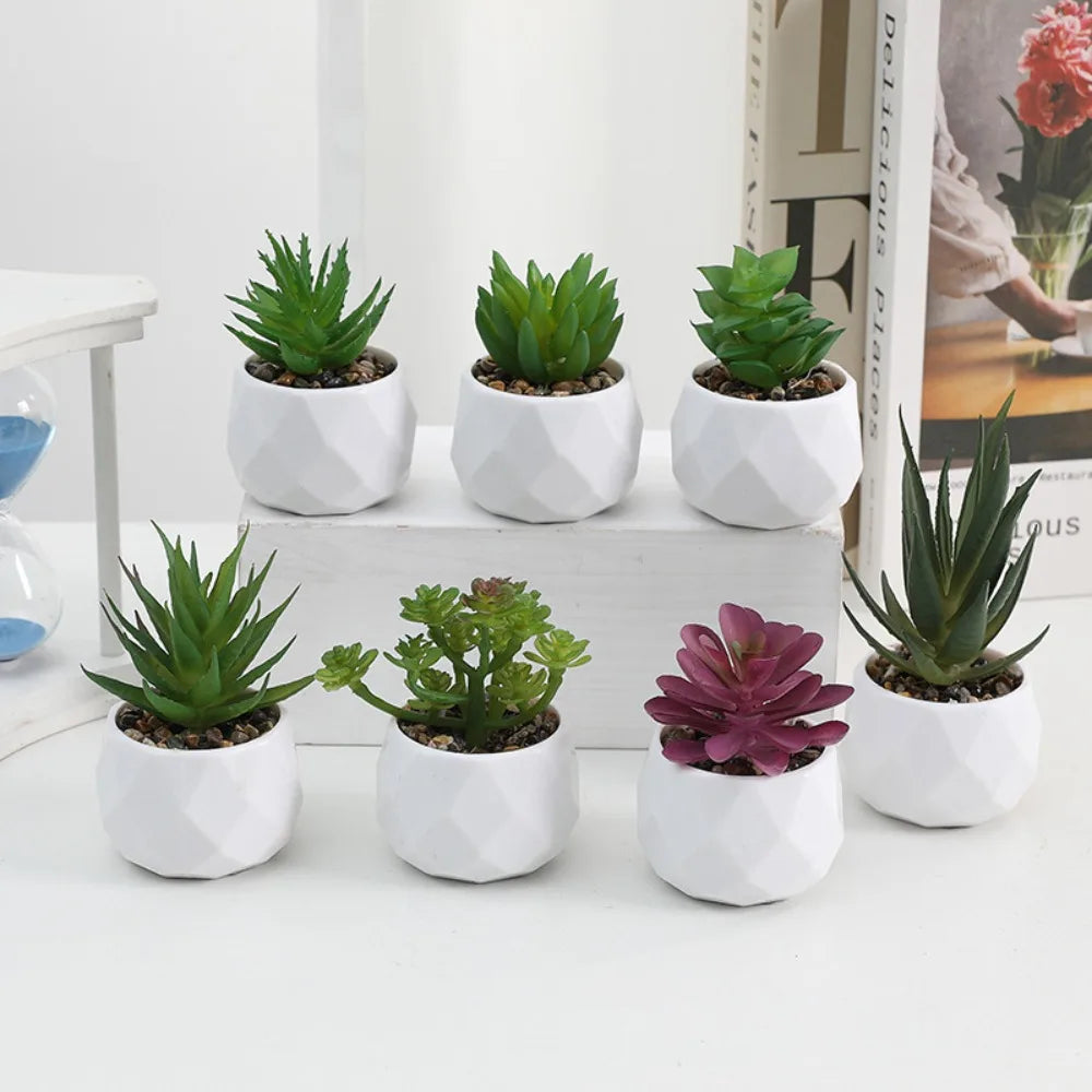Faux Succulent in White Pot