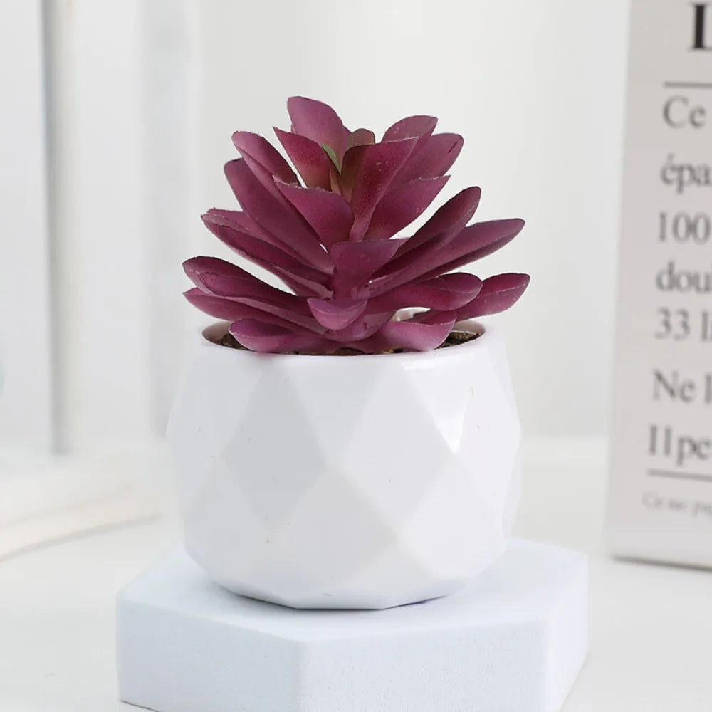 Faux Succulent in White Pot