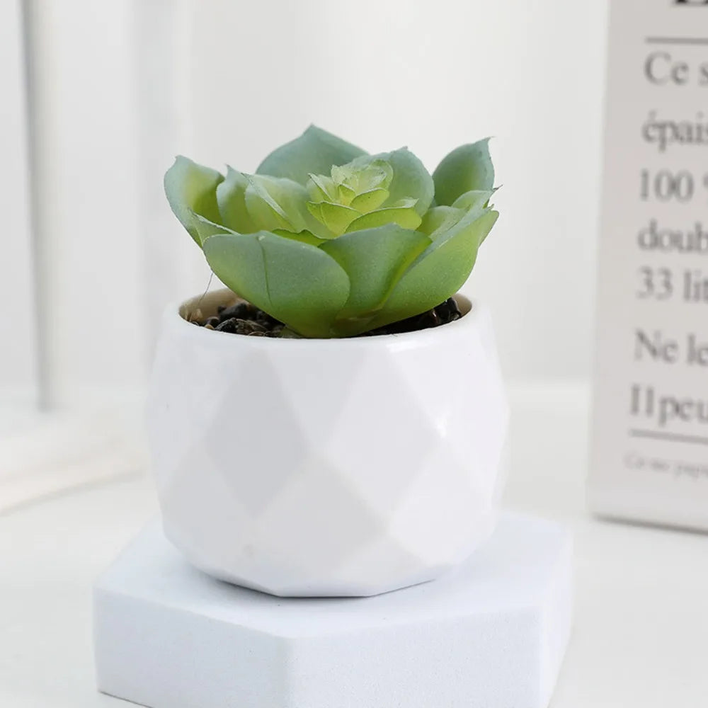 Faux Succulent in White Pot