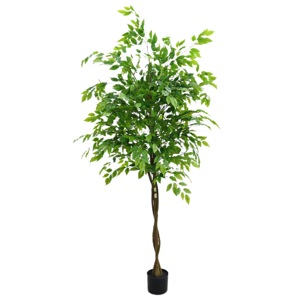 Ficus Artificial Santuario